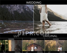 LUTs调色预设 10组婚礼婚庆爱情颜色校正滤镜效果 Pr素材